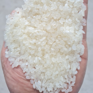 Riz Égyptien OIL POLISH / Riz Misri à Grains Courts du Vietnam |   Fournisseur de riz vietnamien Mme Ellen - Product Image 4