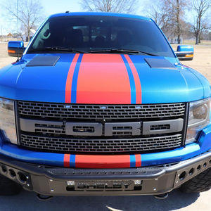 Ford F-150 Shelby Raptor 2014 - Product Image 3