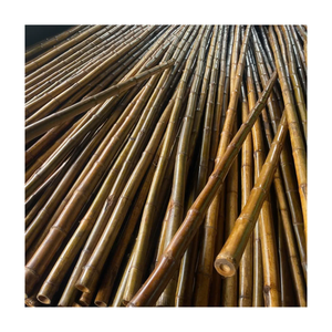 Varas de Bambú Resistentes y Ecológicas para Cultivo de Vegetales y Huertos, Hechas Directamente en Vietnam - Product Image 6