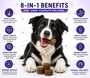 OEM ODM Compléments multivitaminés à croquer pour chiens et chats toutes races – 10-en-1 Vitamines quotidiennes pour le soutien immunitaire, cutané, pelliculaire et articulaire – Fourniture personnalisée - Product Image 6