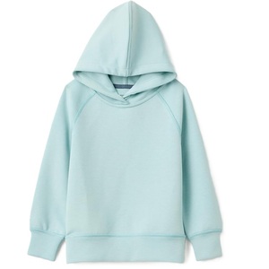 Hoodie kinds 100% Knitted Terry <b>fabrics</b> casual for winter season pull over or front zipper multi color supplier from Bangladesh - Product Image 3