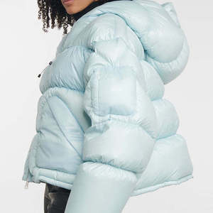 2026 Women's Light Blue <b>Quilted</b> Puffer Jacket Hooded Full Sleeve <b>Thick</b> Winter Coat Short Length Solid Color Polyester Material - Product Image 2