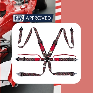 Motorsport Safety Harness TBRACING SPORT PLUS 5 FIA 8853 2016 6 <b>Point</b> OEM ODM Custom Logo Color Wholesale Supplier - Product Image 1