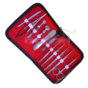 Juego de Instrumentos Quirúrgicos Ortopédicos Profesionales de Acero Inoxidable de 11 Piezas, Certificado CE, Micro Herramientas con Estuche de Blush Surgical - Product Image 5