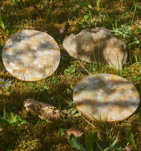 Posavasos de Nácar de Estilo Moderno para Verano, 5 mm de Grosor, Resistentes al Calor, Alfombrillas de Lujo para Mesa de Cocina, Decoración Colorida para el Hogar - Product Image 4