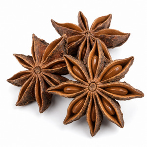 Big Sale Delicious International Standard Top Selling Vietnam Manufacturer Supply Star Anise Bulk Supply - Product Image 6