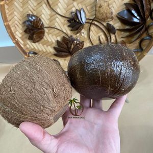 Recipiente para velas de cáscara de coco con interior impermeable / Contenedor de velas de cáscara de coco natural de alta calidad en Vietnam - Product Image 5