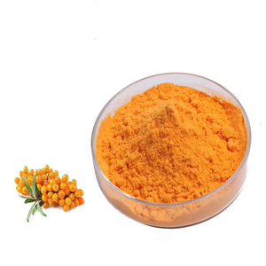 Pure Sea Buckthorn Powder (Hippophae Rhamnoides) High Quality Berry Powder Rich in Vitamin C, Antioxidants & Omega Fatty Acids - Product Image 6