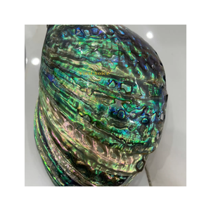 Natural Eco-Friendly Large Natural <b>Abalone</b> Seashells Angel Bowl 4-4.5 Inches VIETCHOICE Wedding Gift Directly Vietnam's - Product Image 4