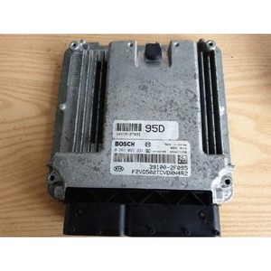 ECUs y Módulos de Computación Usados para Carnaval 391002F095 - Product Image 1
