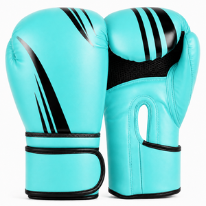Équipement de boxe de haute qualité - Product Image 2