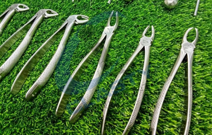 Nuevo Juego de Fórceps Manuales de Acero Inoxidable para Extracción Dental Veterinaria, Certificado CE, Clase I CI-ZS-715 CLASTY INSTRUMENTS - Product Image 6