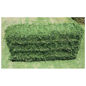 Alfalfa Hay for worldwide distribution bulk animal feed product for agricultural importers and exporters - Product Image 5