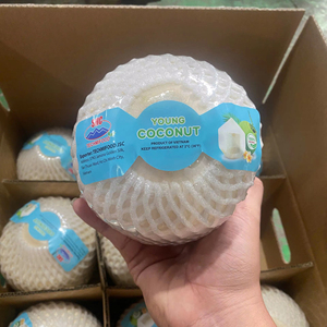 Noix de coco jeune fraîche du Vietnam, entière, forme diamant, peau verte, qualité export, longue durée de conservation TECHMIFOOD Vietnam - Product Image 1