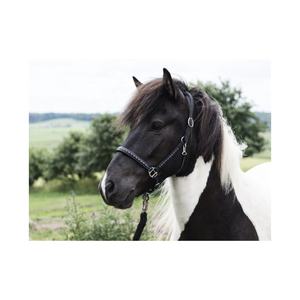 Cabestro de Cuero Ecuestre para Caballos de Primera Calidad, Duradero y Personalizable, Diseño Acolchado Hecho a Mano, para Caballos Islandeses - Product Image 2