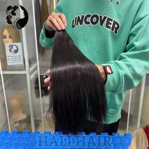 Alta calidad a granel 100% extensiones de cabello Remy vietnamita suave sedoso sin enredos doble cutícula alineada recta teñida humana - Product Image 1
