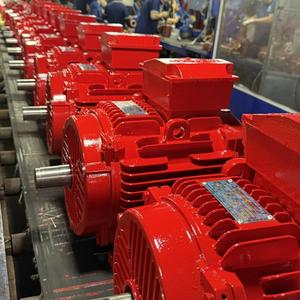 Moteur électrique triphasé AC asynchrone industriel OEM IP55 IP56 avec boîtier en fonte, résistant à la chaleur, classe C - Product Image 3