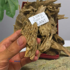 Copeaux de bois de santal du Vietnam, résine moyenne, écologiques, marque V2W, pour la fabrication d'encens et de bakhoor, bois aromatique - Product Image 1