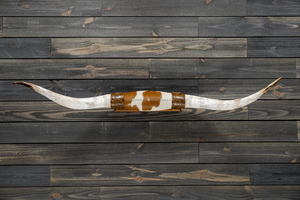 เขาวัวตัวเล็กเขาวัววัววัววัวแบบยาวฮอร์นขัดเงาสำหรับตกแต่งผนังศิลปะตะวันตก/แตรคู่โดย fwe - Product Image 2