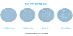 Coconut Mekong Nata De Coco Natural <b>Jelly</b> Cubes White Coconut Ingredients Fruity Nutritious for Food Beverage Industry Room Temp - Product Image 3