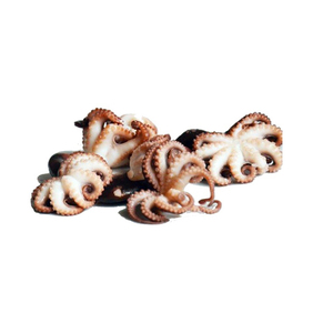 Poulpe bébé entier frais congelé de haute qualité, poulpe congelée de qualité supérieure à vendre. - Product Image 1