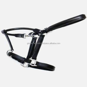 Licou en cuir rembourré durable entièrement réglable dans toutes les tailles personnalisées avec du matériel en laiton nickelé robuste - Product Image 1