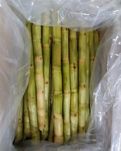 Caña de azúcar congelada cortada en trozos – fresca, dulce y lista para beber, procedente de Vietnam - Product Image 1