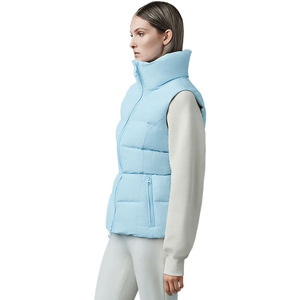 Gilet matelassé pour femme, nouvelle collection automne-hiver, sans manches, rembourré en polyester, col rabattu, vêtement d'extérieur décontracté, grandes tailles pour femme - Product Image 3