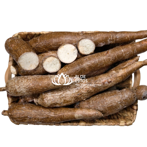 VENTES CHAUDES |   Racines de Manioc Congelées Coupées sous Vide Blue Lotus Farm pour Préparation Rapide des Repas, Fourniture en Gros pour Restaurants et Hôtels - Product Image 1