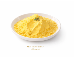 Hgo สารสกัดจากดอก Thistle นมธรรมชาติบริสุทธิ์ (เกรดอาหาร) ข้อมูลจำเพาะของ40% silymarin (สารสกัดที่ได้มาตรฐาน) - Product Image 1