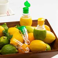 Nouvelle version : Presse-agrumes manuel professionnel en plastique pour citrons et citrons verts, petit extracteur de jus de fruits