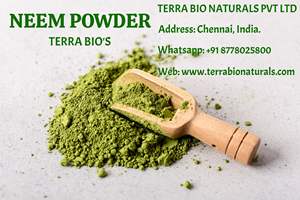 Polvo de Hoja de Neem Orgánico al por Mayor de la India, Muy Efectivo, Disponible en Polvo y en Tabletas - Product Image 4