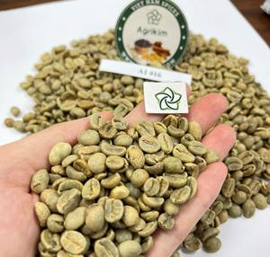 Exportador Vietnamita de Granos de Café Robusta de Tueste Claro Premium Totalmente Certificados de Agrikim Vietnam en Bolsa de Yute de 60 kg - Product Image 1