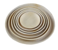 Duurzame, milieuvriendelijke houten wegwerp borden met gravure, geschikt voor feesten en buitengebruik, 9 inch, BPA-vrij, biologisch afbreekbaar, premium kwaliteit
