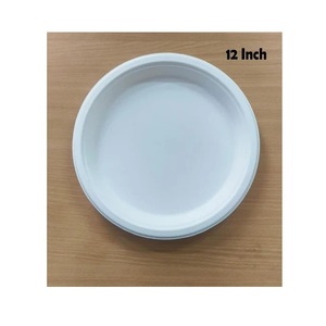 Assiette ronde en bagasse de 12 pouces, écologique, biodégradable, jetable, pour la restauration, vente en gros - Product Image 1
