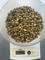 Café Vert Robusta PHALCO de Haute Qualité Grade 1 Tamis 16/18 Vietnam Meilleur Prix Prêt à l'Exportation en Sac de Jute