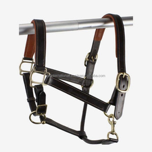 Cabestro de Cuero para Caballo Hecho a Mano, Resistente y Duradero, en Cuero Genuino Negro o Marrón con Acolchado Suave en el Cuello y la Nariz - Product Image 2