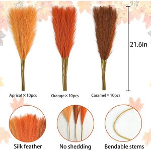 Erba della Pampa Arancione 30 pz 55 cm, Steli Soffici Artificiali Colorati, Decorazioni per Vasi, Centrotavola Autunnali per Matrimoni - Product Image 5