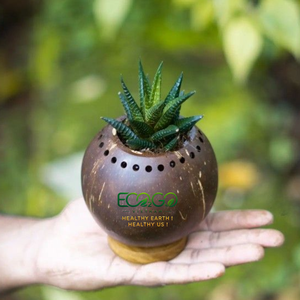 Pot de plante en coquille de noix de coco fait main |   Jardinière Naturelle Écologique |   Pot de fleurs durable pour la décoration intérieure et extérieure du jardin - Product Image 4