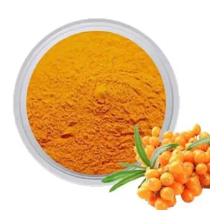 OEM/ODM Polvo de Baya de Espino Amarillo 100% Puro, Rico en Omega 3, Vitamina, Polvo de Fruta de Espino Amarillo Seca al Mejor Precio desde India - Product Image 2