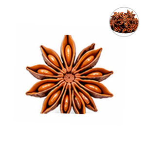Anis étoilé de qualité supérieure, produit du Vietnam, le plus vendu, excellent rapport qualité-prix, disponible en gros - Product Image 1