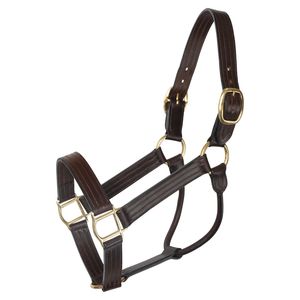 Premium Genuine Leather English style Horse <b>Halter</b> with Soft Padding Adjustable & Durable for Dressage Training Everyday Use - Product Image 1