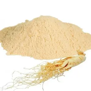Polvo Puro de Raíz de Panax Ginseng a Granel, Ingrediente Herbal para Cápsulas, Tabletas y Mezclas de Té Herbal, Proveedor Mayorista OEM - Product Image 3