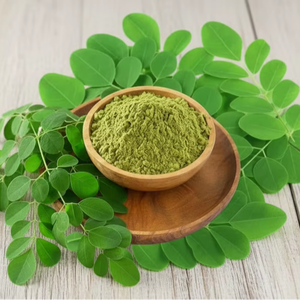 Poudre d'extrait de feuille de Moringa biologique naturelle haute pureté, maille fine, durée de conservation de 24 mois, approvisionnement en gros pour la nutraceutique - Product Image 1