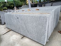 Dalles de granit blanc Kuppam de qualité supérieure avec une surface blanche élégante pour plans de travail de cuisine, meubles de salle de bain, escaliers et revêtements de sol