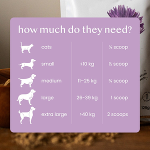 Suplemento en Polvo Personalizado para el Soporte Hepático de Mascotas, Ayuda Naturalmente al Cuidado de la Salud de Perros y Gatos con Cardo Mariano - Product Image 3