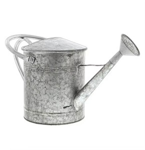 Arrosoir en zinc galvanisé de qualité supérieure, outil de jardin durable pour l'entretien des plantes d'extérieur - Product Image 1