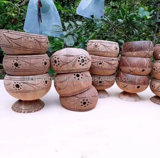 Hot seller planting Growth in coconut shell bowl ECO Solution Flower Pot fresh home decoration