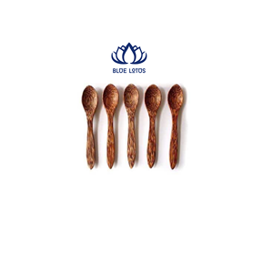 Cuchara de Coco Ecológica, Segura y Limpia, Producto Vegetal Puro, Ideal para Mezclar Ensaladas y Agitar Café, Precio Directo, MÁS VENDIDO - Product Image 1