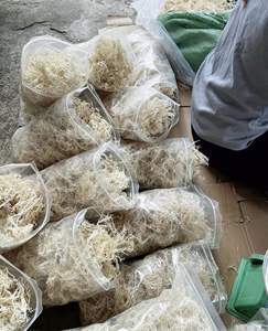 Mousse de mer violette séchée du Vietnam / Mousse de mer irlandaise dorée avec sel, superaliment Eucheuma Cottonii / ANNA DO - Product Image 3